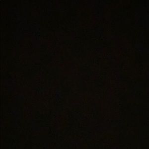 Meet your Posher, Bella